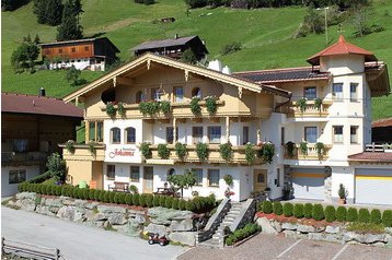 Austria Privát Hippach, Exterior